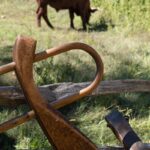 Do YOU Think His Yoke Is Easy? (with audio)