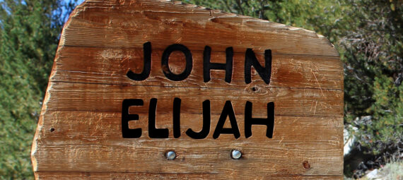 Was John Elijah – Or Not?
